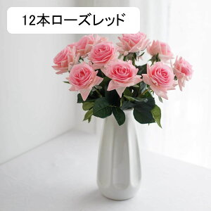  CeA o KN 5{  ͂Ȃ A[gt[ ̓v[g Mtg 킢 j   X iX  p[eB[ a ԑ 蕨̉ lHϗtA