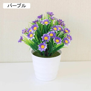  lHϗtA CeA ~j A  k tFCNt[ tFCNO[  nӓI   ItBX z[  Be Ԃ̖~ e[u̒u Vz