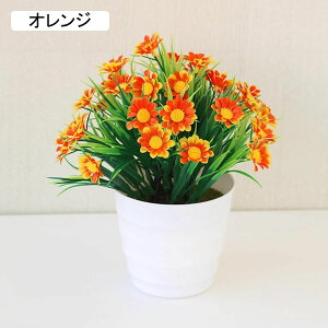  lHϗtA CeA ~j A  k tFCNt[ tFCNO[  nӓI   ItBX z[  Be Ԃ̖~ e[u̒u Vz