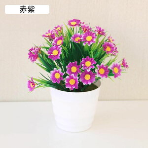  lHϗtA CeA ~j A  k tFCNt[ tFCNO[  nӓI   ItBX z[  Be Ԃ̖~ e[u̒u Vz