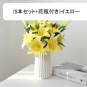   tFCNt[ ԑ ͂Ȃ Y A tFCNt[ A[gt[ EFfBOu[P CeA ] ސE  v[g j er e[u  