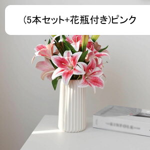   tFCNt[ ԑ ͂Ȃ Y A tFCNt[ A[gt[ EFfBOu[P CeA ] ސE  v[g j er e[u  