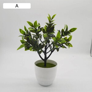 tFCNO[ ϗtA  iM ԃZbg { ͂Ȃ bsv ~ A CeA  ItBX X   u ] 蕨 v[g 24cm*30