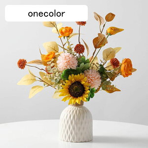  ~ A F ƒ/rO/|[`/_CjOe[u/z[/EFfBO/p[eB[/ItBX/Q/zep ԕrt tFCNt[  lHA zj ̓v