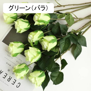 CeA F 5{ [Y o KN ͂Ȃ A[gt[ ̓v[g Mtg 킢 j   X iX  p[eB[ a ԑ 蕨̉ lH