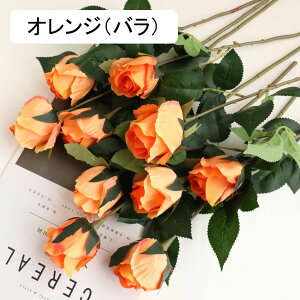  CeA F 5{ [Y o KN ͂Ȃ A[gt[ ̓v[g Mtg 킢 j   X iX  p[eB[ a ԑ 蕨̉ lH