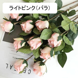  CeA F 5{ [Y o KN ͂Ȃ A[gt[ ̓v[g Mtg 킢 j   X iX  p[eB[ a ԑ 蕨̉ lH