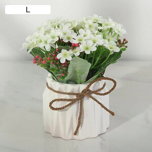  ~ A ƒ/rO/|[`/_CjOe[u/z[/EFfBO/p[eB[/ItBX/Q/zep ԕrt tFCNt[  lHA zj ̓v[