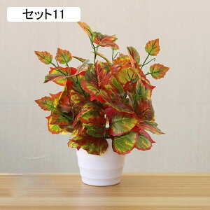 tFCNO[ lHϗtA A ~͐A  ~j CeA p  bv炸 Vzj Vj z Mtg 蕨 ItBX z[   e[u 