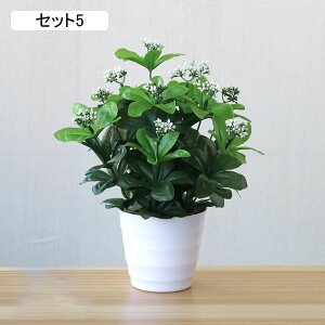 tFCNO[ lHϗtA A ~͐A  ~j CeA p  bv炸 Vzj Vj z Mtg 蕨 ItBX z[   e[u 