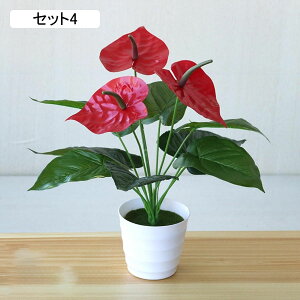 tFCNO[ lHϗtA A ~͐A  ~j CeA p  bv炸 Vzj Vj z Mtg 蕨 ItBX z[   e[u 