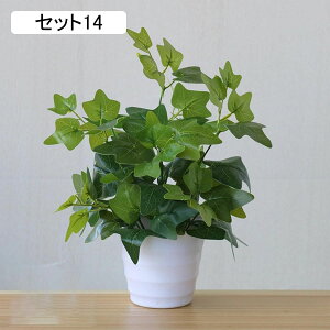 tFCNO[ lHϗtA A ~͐A  ~j CeA p  bv炸 Vzj Vj z Mtg 蕨 ItBX z[   e[u 