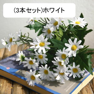 3{Zbg  fCW[ tFCN fCW[̉ԑ u[P c ͂Ȃ bsv A[gt[ CeA v[g j rO sNjbN e[u   AW 