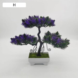 lHϗtA    ϗtA { ͂Ȃ b炸 24cm*29cm tFCNO[ ~ A CeA rO ItBX X 쑕 u ] Vz