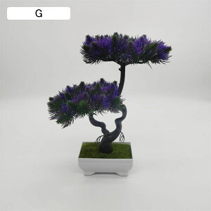 lHϗtA    ϗtA { ͂Ȃ b炸 24cm*29cm tFCNO[ ~ A CeA rO ItBX X 쑕 u ] Vz