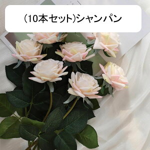  [Y tFCN ỏԑ u[P ͂Ȃ bsv A[gt[ CeA LO ސE ̓ hV̓ v[g j rO EGfBO   AW I