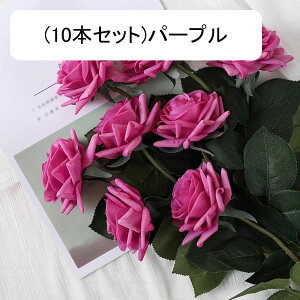  [Y tFCN ỏԑ u[P ͂Ȃ bsv A[gt[ CeA LO ސE ̓ hV̓ v[g j rO EGfBO   AW I