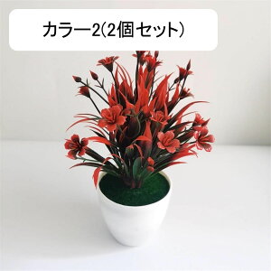 tFCNO[  Ԗ~ A lHϗtA 18cm vX`bN ~ CeA  ItBX X   u ͂Ȃ  JXj 蕨 v[g