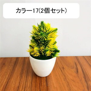 tFCNO[  Ԗ~ A lHϗtA 18cm vX`bN ~ CeA  ItBX X   u ͂Ȃ  JXj 蕨 v[g