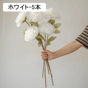 O  CeA tFCNt[ VNt[ sv ͂Ȃ A[gt[ t[AW k A  ƒ둕 DIY ԑ u[P Be X܏ EFfB