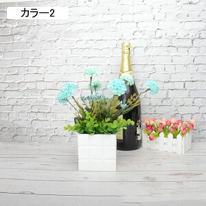  ϗtA  A AWTCZbg lHϗtA tFCNO[ { 32cm ~ CeA iX X  u ͂Ȃ b炸  v[g JX