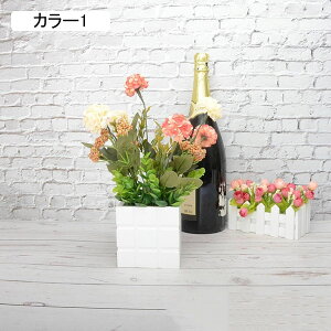  ϗtA  A AWTCZbg lHϗtA tFCNO[ { 32cm ~ CeA iX X  u ͂Ȃ b炸  v[g JX