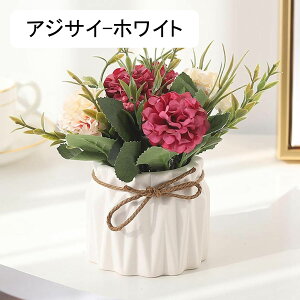 k  CeA  AWTC ԕrt A tFCNt[ ItBX iX X  ԃZbg ͂Ȃ bsv rO///Q v[g