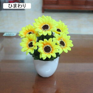 tFCNt[ e lHϗtA A ~   tFCNO[ CeA   p Vzj 蕨 ItBX z[ e[u u H|i