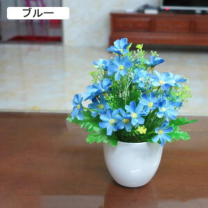 tFCNt[ e lHϗtA A ~   tFCNO[ CeA   p Vzj 蕨 ItBX z[ e[u u H|i