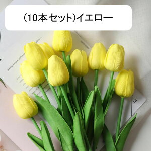 10{Zbg  `[bv tFCNt[ ԑ u[P ͂Ȃ Y ins A[gt[ z̉ CeA LO ̓ v[g j rO sNjbN  