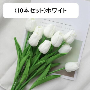 10{Zbg  `[bv tFCNt[ ԑ u[P ͂Ȃ Y ins A[gt[ z̉ CeA LO ̓ v[g j rO sNjbN  