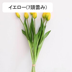 `[bv  CeA tFCNt[ ԑ ͂Ȃ Y PU tFCNt[ A[gt[ EFfBOu[P ] ސE  v[g j er e[u 