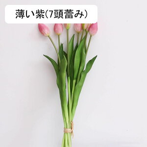 `[bv  CeA tFCNt[ ԑ ͂Ȃ Y PU tFCNt[ A[gt[ EFfBOu[P ] ސE  v[g j er e[u 