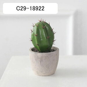 T{e~  CeA ~j A  k tFCNO[  INS lHϗtA  e[u ΂̐A u Vzj a ] v[g