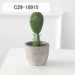 T{e~  CeA ~j A  k tFCNO[  INS lHϗtA  e[u ΂̐A u Vzj a ] v[g