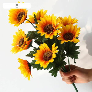  Ђ܂  ϗtA ƒ/rO/|[`/_CjOe[u/z[/EFfBO/p[eB[/ItBX/Q/zep tFCNt[  lHA zj ̓ v