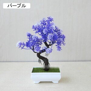  lHϗtA CeA  k tFCNO[ ~ A   z[  fXN A u Vzj ] z Mtg 蕨 v[g
