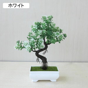  lHϗtA CeA  k tFCNO[ ~ A   z[  fXN A u Vzj ] z Mtg 蕨 v[g