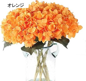  ԍ  CeA ԑ  ͂Ȃ v[g Mtg Ǝ ? a EFfBO  Be p z[ 뉀 Lb` ItBX p[eB[ AWTC tFC