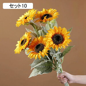  CeA  Ђ܂ ԃZbg tFCNt[ lH z Y k  Vzj ]j JXj z[ X e[u er u  t[A