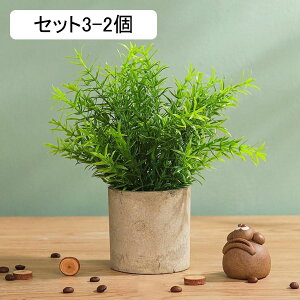 tFCNO[ [J lHϗtA  A ~  ~j CeA   sv bsv p Vzj ̓ ̓ Ղ 蕨 ItBX z[ f