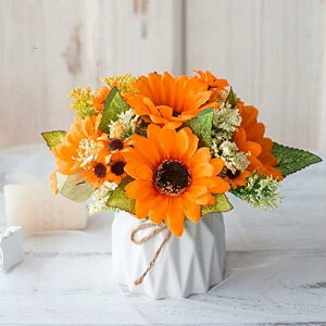  AA  ͂Ȃ o t[ S ^~ x_[ Ԃ̒u fXNgbv̏~ V~[V̉ A̖~ Ƃ̑ [Ybh ϗtA ̓