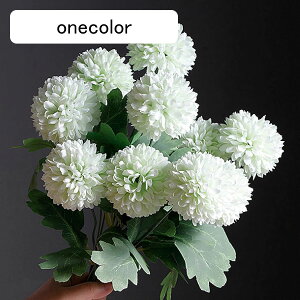  CeA s|e 5{ ΐF ͂Ȃ A[gt[ ̓v[g Mtg 킢 j   X iX  p[eB[ a ԑ 蕨̉ lHϗtA