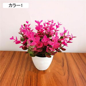 ϗtA  [K A ԃZbg lHϗtA tFCNO[ { ~ CeA  ItBX X   u ͂Ȃ b炸  蕨 v[