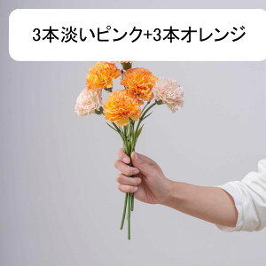  J[l[V o CeA tFCNt[ VNt[ sv ͂Ȃ A[gt[ t[AW k A  e[u DIY ԑ u[P Be