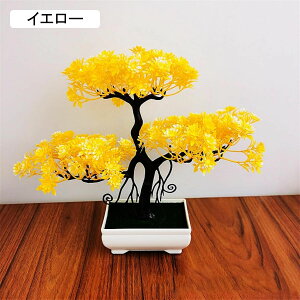 ϗtA  A ւ̉ lHϗtA tFCNO[  24cm ~ CeA  ItBX X  u ͂Ȃ b炸  JXj 蕨 v[g o