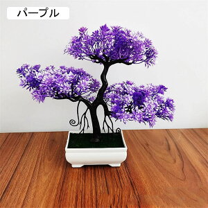 ϗtA  A ւ̉ lHϗtA tFCNO[  24cm ~ CeA  ItBX X  u ͂Ȃ b炸  JXj 蕨 v[g o