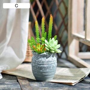 lHA ϗtA  ԕrt  { ͂Ȃ bsv tFCNO[ CeA ItBX X  u A ԃZbg VzEzj 蕨 v[