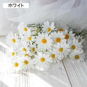  CeA J~[ fCW[ ͂Ȃ A[gt[ ̓v[g Mtg 킢 j   X p[eB[ ԑ iX lHϗtA a  蕨