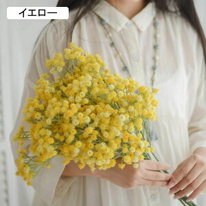  CeA 10{ F Wv\tB ͂Ȃ A[gt[ ̓v[g Mtg 킢 j   X iX  p[eB[ a ԑ 蕨̉ lHϗt